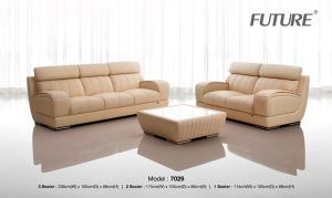 Bộ sưu tập ghế sofa chung cư đáng mua nhất