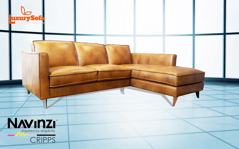 Màu sắc ghế sofa nhập khẩu được yêu thích nhất