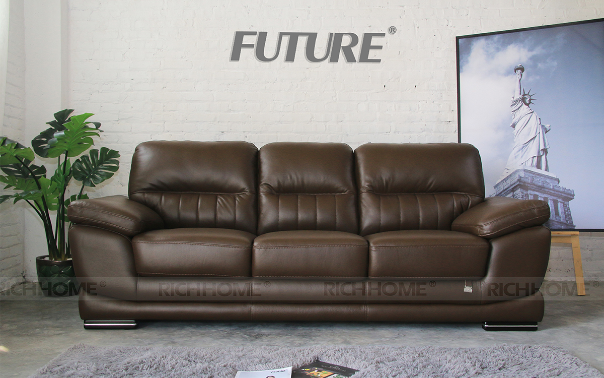 3 kiểu sofa đẹp, dễ ứng dụng cho mọi kiểu phòng khách - Ảnh 3