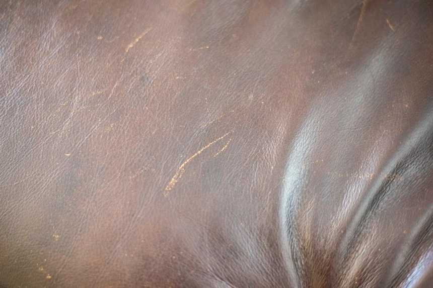 5 cách bảo quản sofa góc bằng da bóng và bền đẹp nhất - Ảnh 3