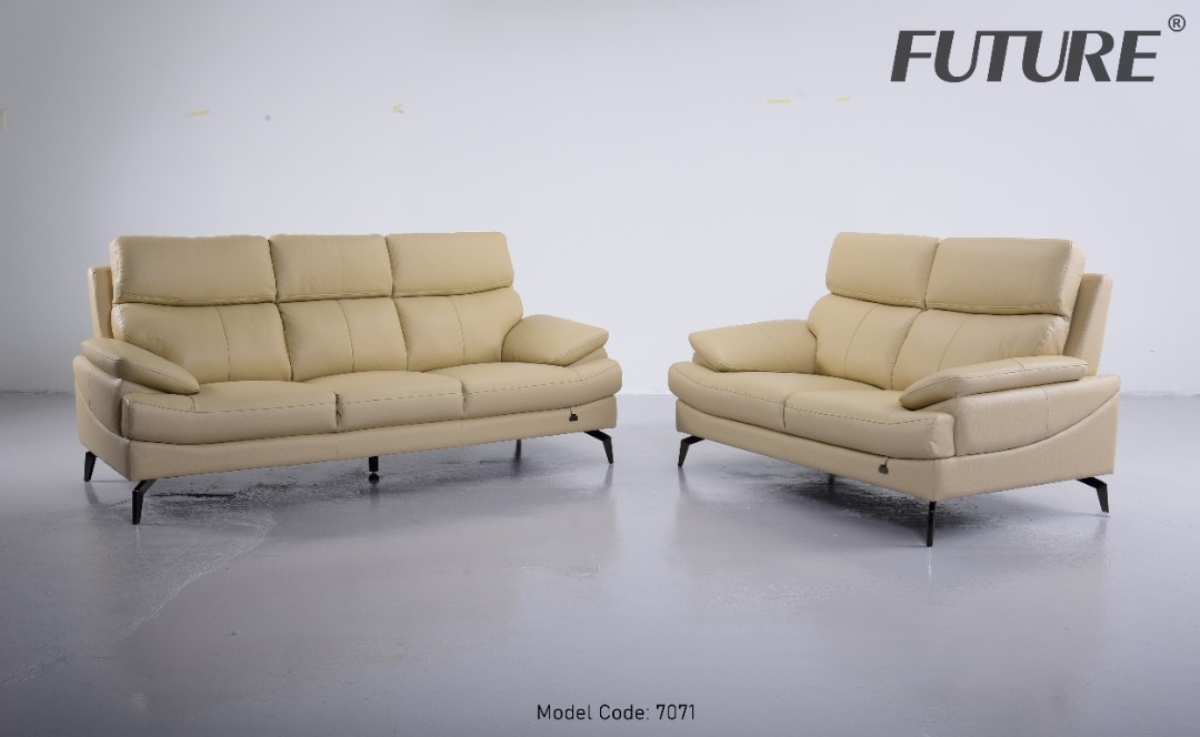 Các loại ghế sofa dùng cho không gian gia đình - Ảnh 3