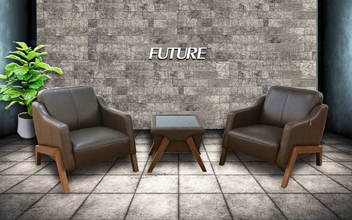 Các loại ghế sofa dùng cho không gian gia đình - Ảnh 4