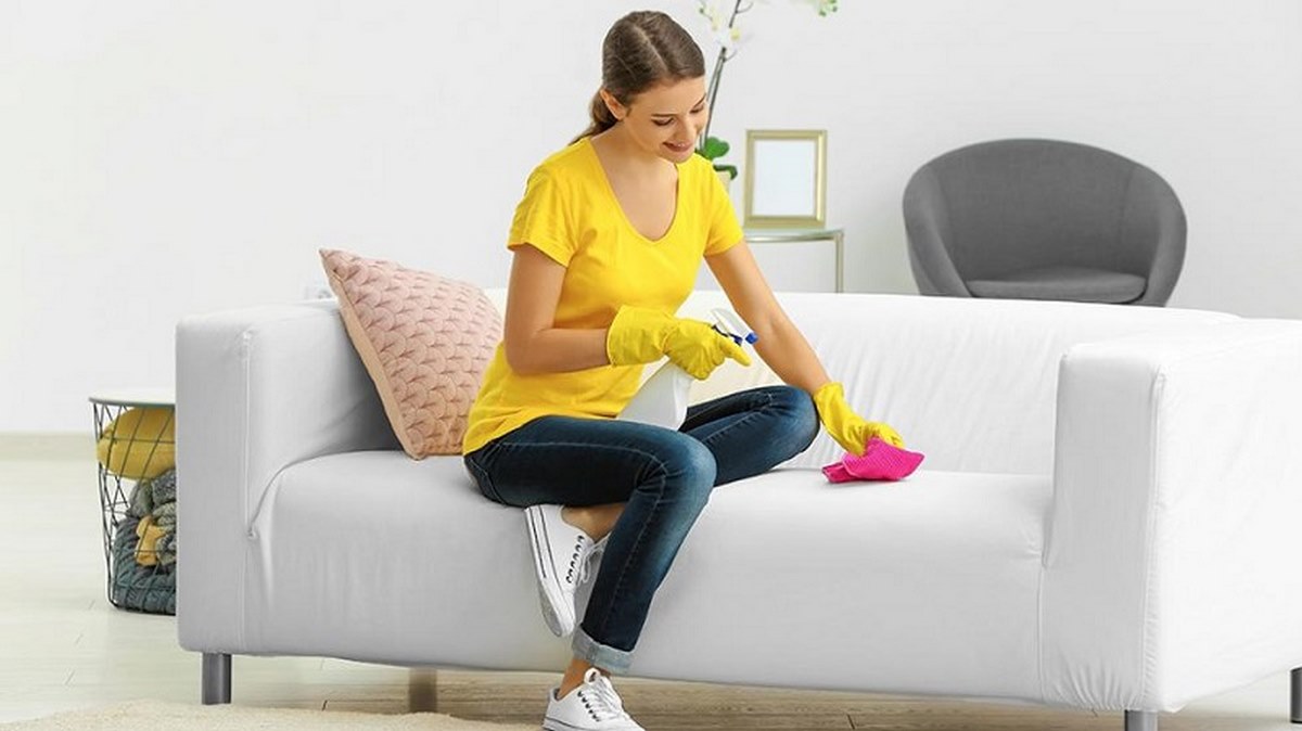 Dung dịch vệ sinh ghế sofa da - trợ thủ đắc lực để bảo quản Sofa - Ảnh 2